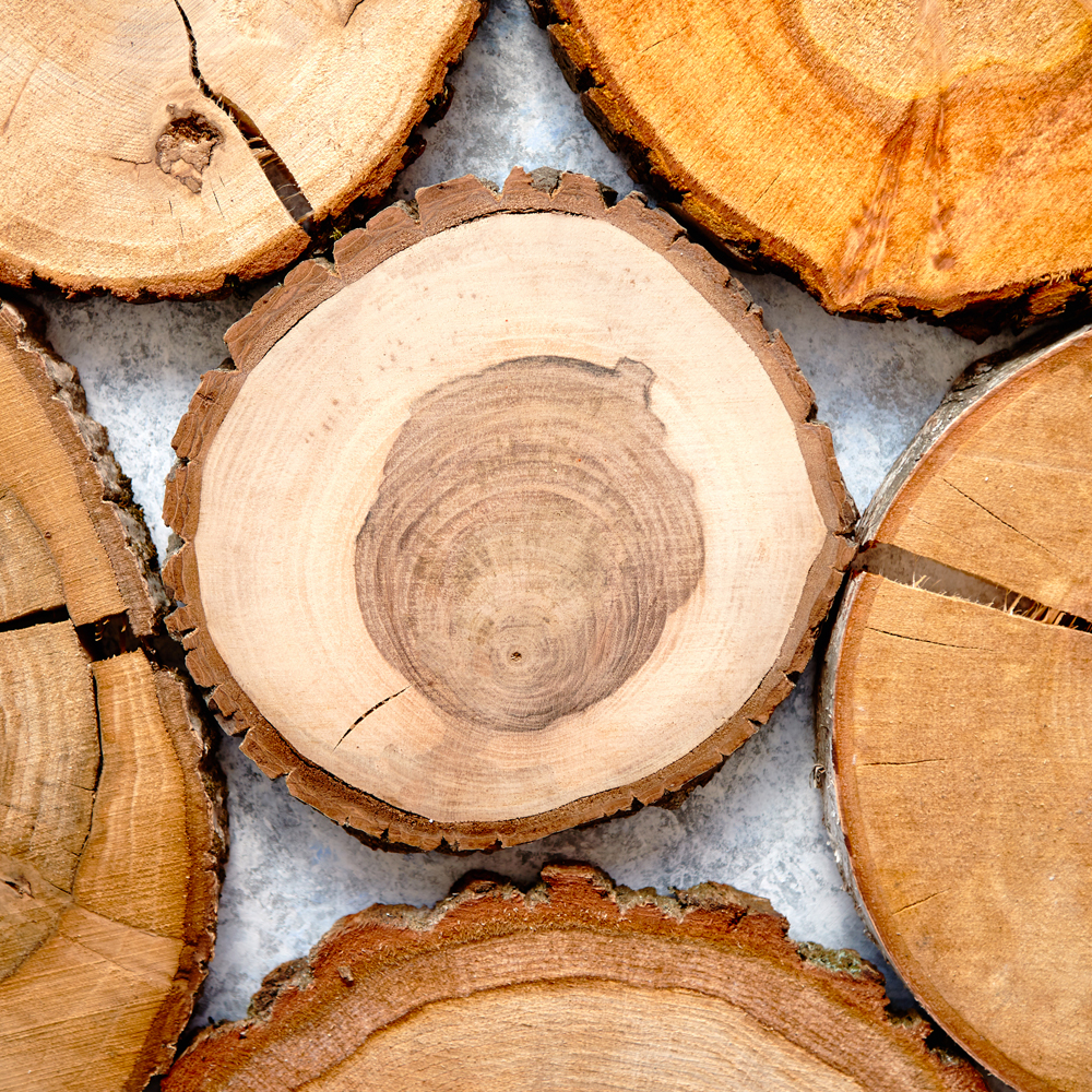 il legno, dalla scelta alle case in bioedilizia