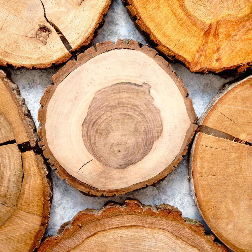 AB Legno, esperti in coperture e tetti in legno