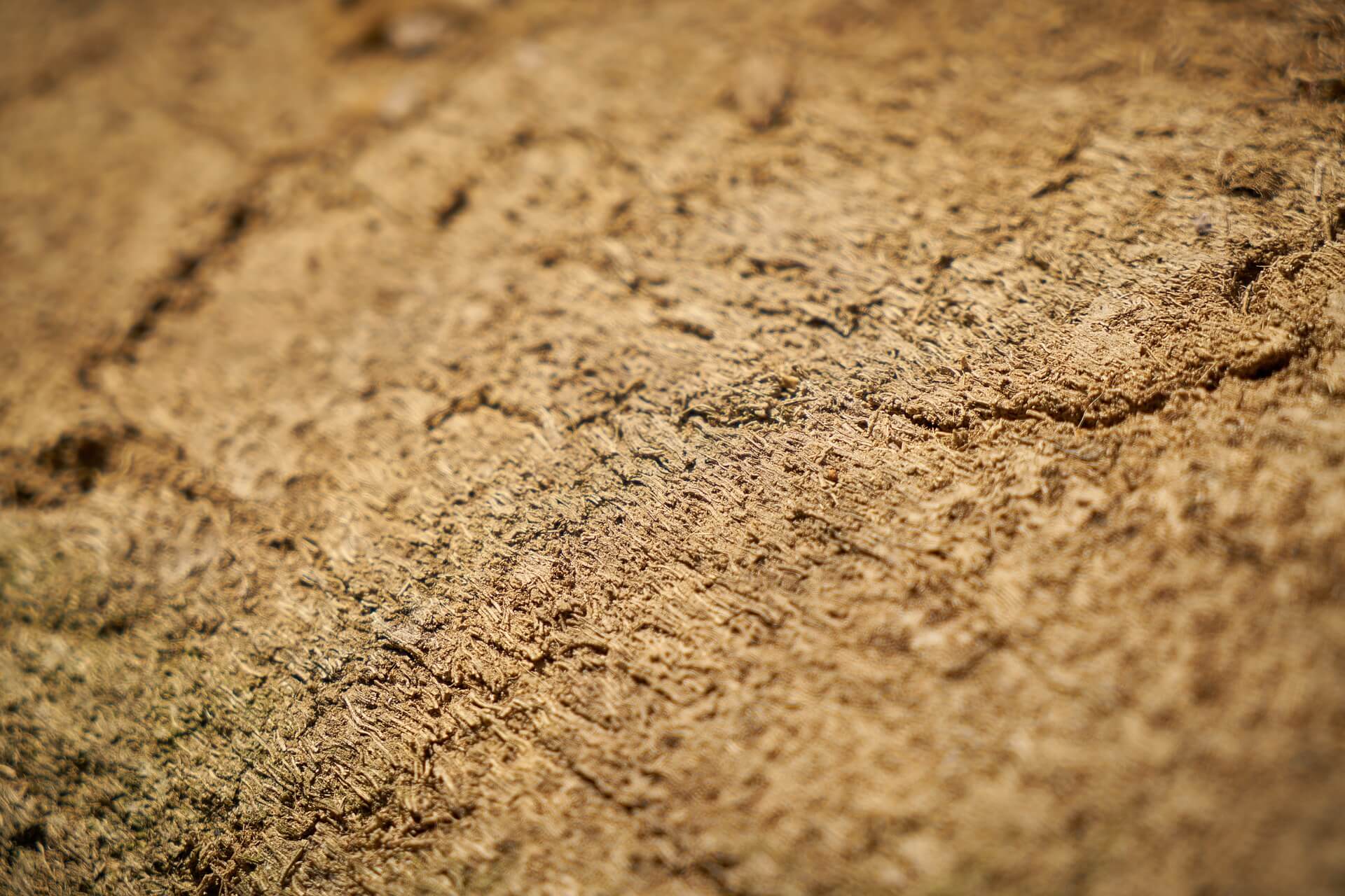 Fibra di legno per cappotti naturali per isolare casa